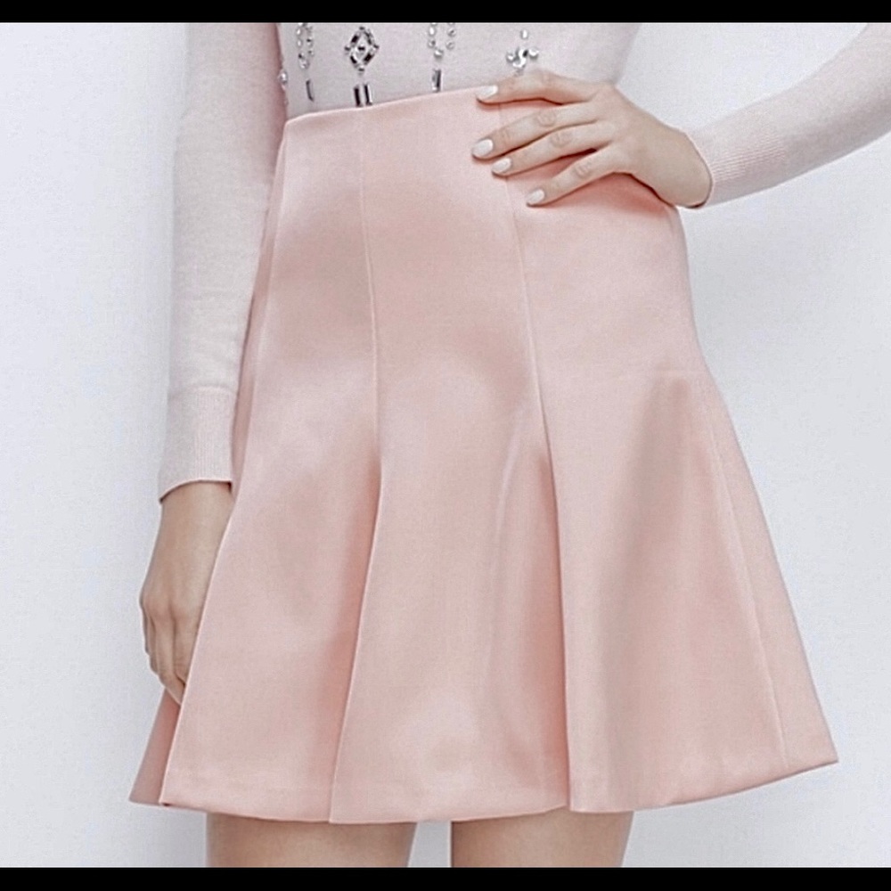 ✨NWT✨🏷Ann Taylor: Pale Pink A-line/Flare Satin-Sheen Fully-Line Skirt